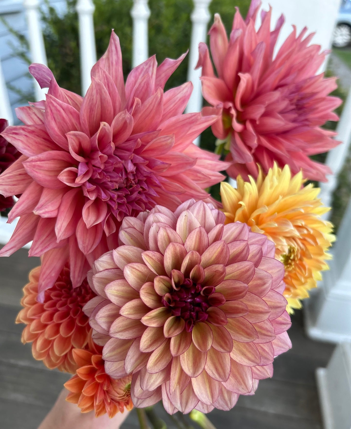 Bring on the Blooms! Early Summer 2025 Bouquet Subscription