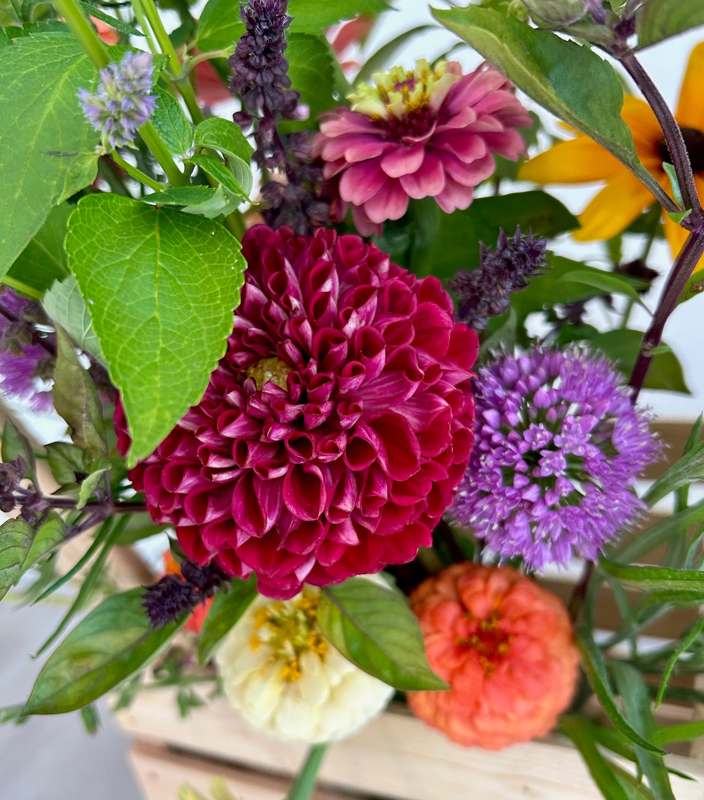 Bring on the Blooms! Early Summer 2025 Bouquet Subscription